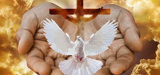 jpeg-optimizer-osiou-charitonos-tou-omologiti