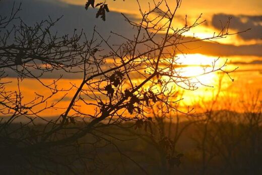 jpeg-optimizer-to-fos-ton-poiiton-milltiades-ntovas