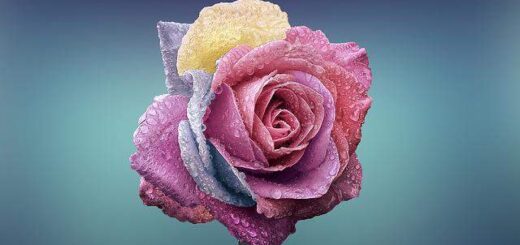 jpeg-optimizer-agapi-simainei-aggigma-psychis