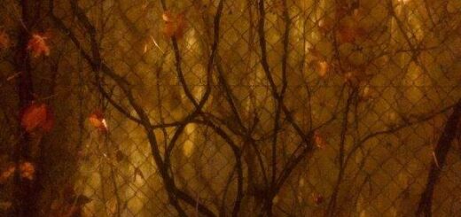 jpeg-optimizer-mi-sikotheis-Anna- Symeonidou