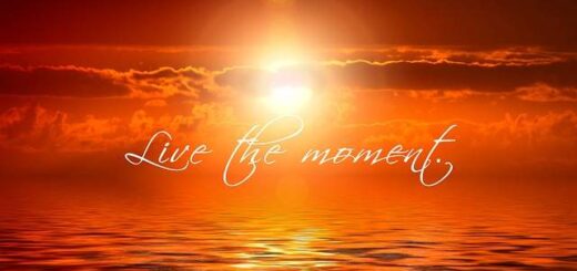 jpeg-optimizer-zise-to-tora-simera