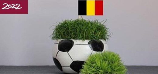 jpeg-optimizer-Belgio-Kanadas-1-0-Thema-empeirias