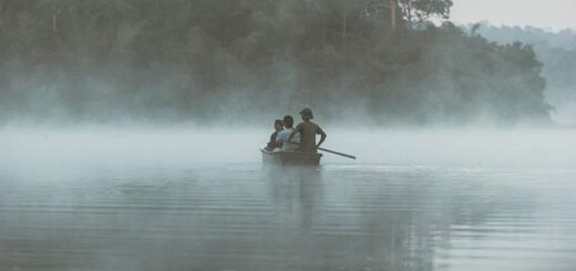 jpeg-optimizer-vrochi-omicli-kai-alla-fainomena-sto-cinema