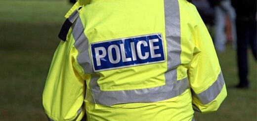 jpeg-optimizer_exathrosi-tetramelous-speiras-sti-thessaloniki