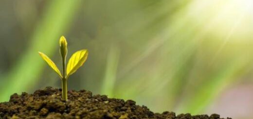 jpeg-optimizer_money-show-prasina-epaggelmata