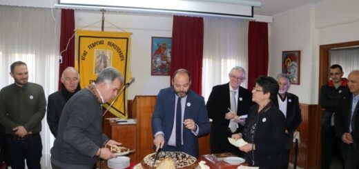 peg-optimizer_Kopi pitas-agios-georgios-peristereota-2023