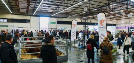 jpeg-optimizer_Photo Zootechnia 2023