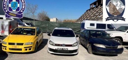 jpeg-optimizer_egkimatiki-organosi-voreia-ellada