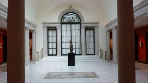 jpeg-optimizer_entoni-diamartiria-tou-ekth-gia-ti-metatropi-5-mouseion