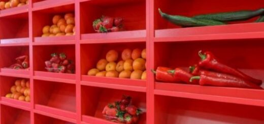 jpeg-optimizer_FRESKON 1 2023