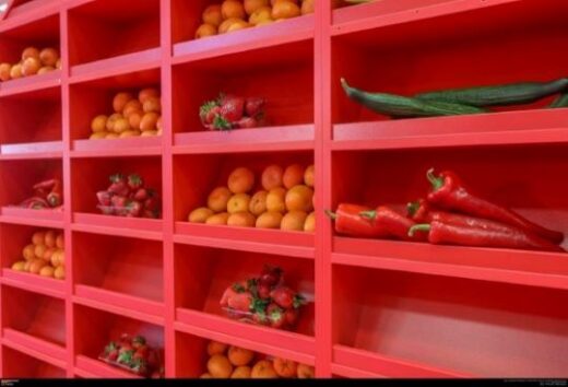 jpeg-optimizer_FRESKON 1 2023