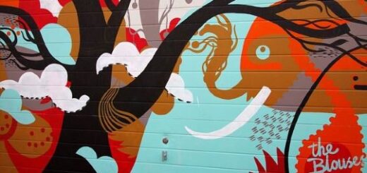 jpeg-optimizer_i-cultura-ton-mazon