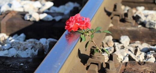 jpeg-optimizer_i-ellada-thrinei