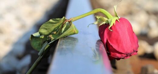 jpeg-optimizer_paraitisi-ypourgou-metaforon-1