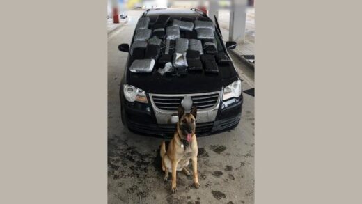 jpeg-optimizer_Laika narkotika evros