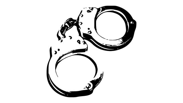 jpeg-optimizer_cheiropedes