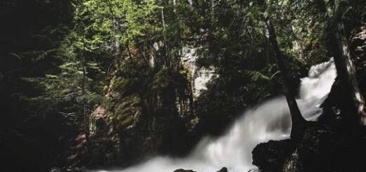 diasosi-pappou-kai-eggonis-stis-Serres