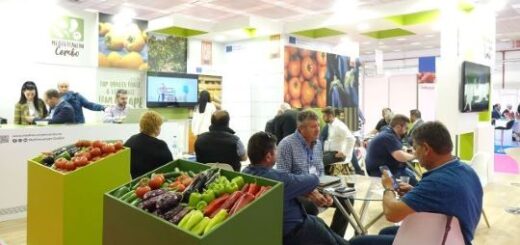 jpeg-optimizer_freskon 2013 a1