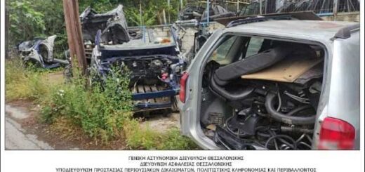 jpeg-optimizer_2-adelfia-sinelifthisan-gia-perivallontiki-pipansi