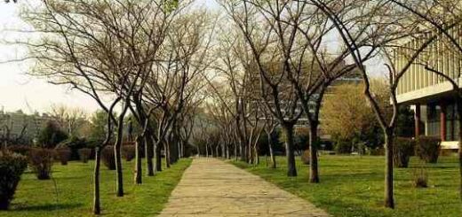 jpeg-optimizer_640px-AUTH_Campus_3 (1)