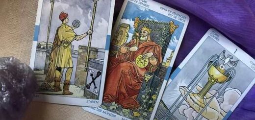 jpeg-optimizer_ta-taro-tou-maiou-2023