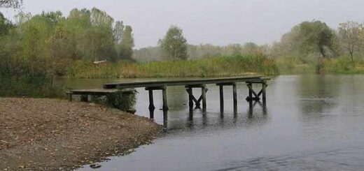 jpeg-optimizer_Diasosi-145-mi-nomimon-metanaston-apo-nisida-tou-potamou-evrou