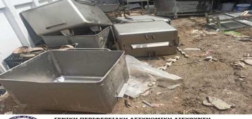 jpeg-optimizer_Entopismos klopimaion AT Moudanion