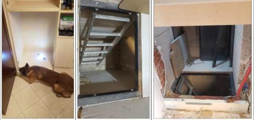 jpeg-optimizer_kataschethikan- schedon-6-kila-kokainis-ston-Evosmo