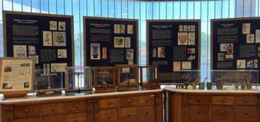 ftsth-afxisi-episkepton-sto-Elliniko-Farmakeftiko-Mouseio