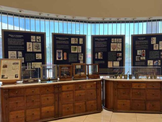 ftsth-afxisi-episkepton-sto-Elliniko-Farmakeftiko-Mouseio