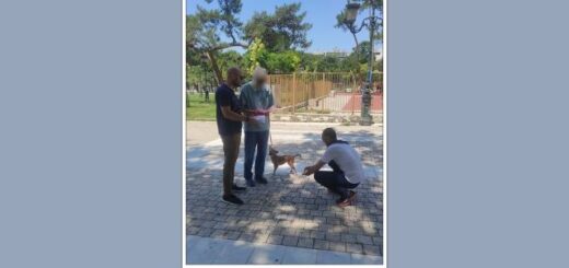jpeg-optimizer_sinolika-145-idioktites-zoon-sintrofias-elegchtikan-ton-iounio-tou-2023-sti-thessaloniki