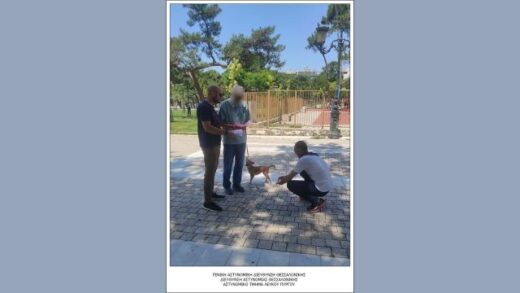 jpeg-optimizer_sinolika-145-idioktites-zoon-sintrofias-elegchtikan-ton-iounio-tou-2023-sti-thessaloniki