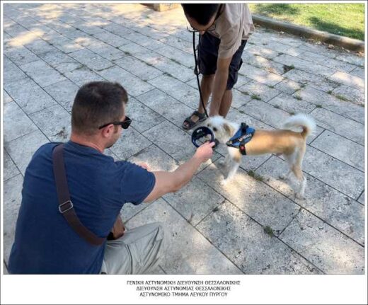 Sinolika-158-elegchoi-se-idioktites-zoon-sintrofias-eginan-sti-thessaloniki