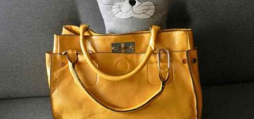 ginaika-eklepse-ti-tsanta- asthenous-apo-nosileftiko-idrima-tis-thessalonikis 2