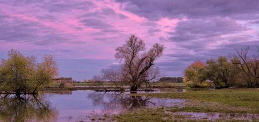 sigkentrosi-anthropistikis-voiiteias-apo-to-ekth-gia-tous-plirrimoropatheis