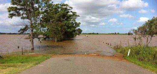 sigkentrosi-anthropistikis-voiiteias-gia-tous-plirrimoropatheis-apo-to-apth