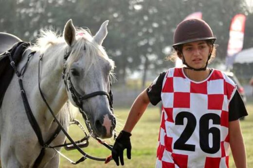 Sto-kastro-tis-voiotias-tha-diexachtoun-oi-panelinioi-ippikoi-agones-adochis-apo-ton-ippiko-omilo-avlona