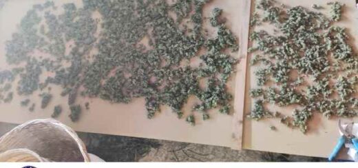 dio-sillipseis-andron-gia-narkotika-se-Pella-kai-Pieria