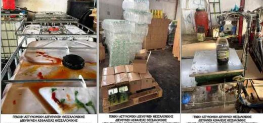 Perissotera-apo-13000-litra-elaion-iliekaio- kai -nofthemenou-elaioladou-kataschethikan-ston-dimo-delta