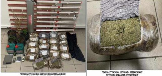 Perissotera-apo-40-killa-akatergastis-kannabis-kataschethikan- se-Polichni -Stavrouopoli