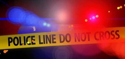 Anthropoktonia-se-varos-mesilika-andra-sta-lagadikia-Thessalonikis