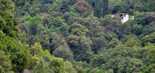 Exichniastikan-diarrixeis-oikeion-kai-klopis-aftokinitou-se-Thessaloniki- Chalkidiki