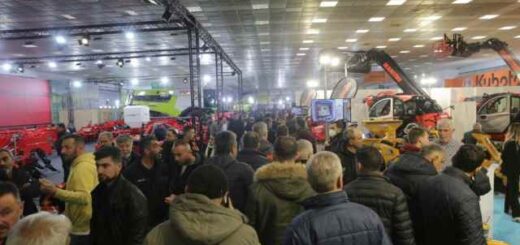 epiase-xana-koryfes-i-30i-Agrotica