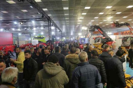 epiase-xana-koryfes-i-30i-Agrotica