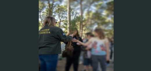 dentrofytefsi-pragmatopoiithike-sti-kataskinosi-tou-apth-sto-poseidi-Chalkidikis