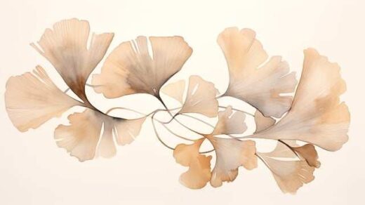 axiopoiisi-tou-ploutou-tis-sintirinenis-sygchronis-kai-apolithonenis-viopoikilotitas-pou-diathetei-to-apth