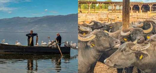 dimosiografiko-taxidi-stin-perifereiaki-enotita-serron-me-dimosiografous-apo-tin-athina