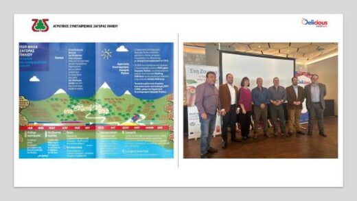 Mila-Pop-Zagoras-Piliou-mia- apo-tis-koryfaies-poikilies-pagkosmios