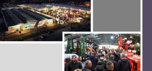 Mia-anasa-apo-to-sold-out