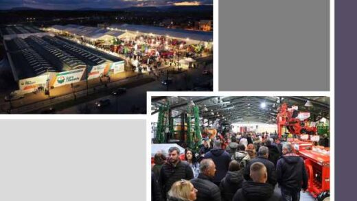 Mia-anasa-apo-to-sold-out